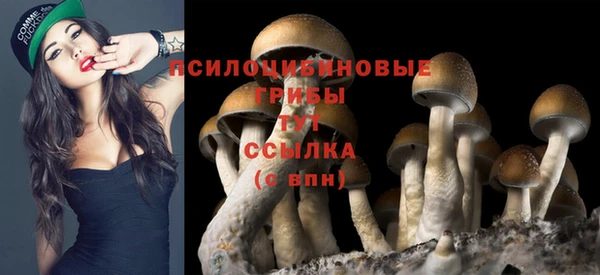 прущий лед Медвежьегорск