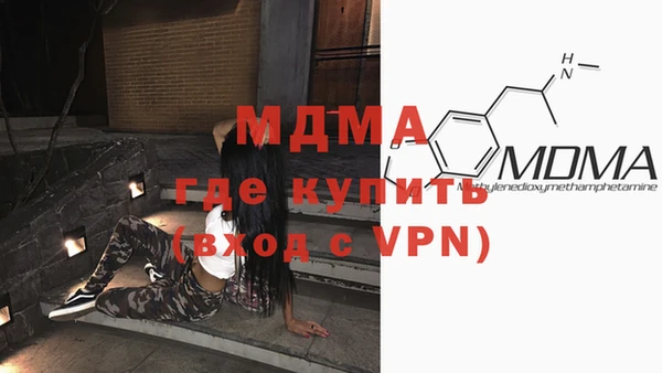 индика Медногорск
