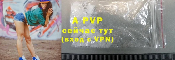 индика Медногорск