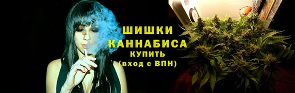 индика Медногорск