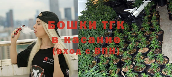 индика Медногорск