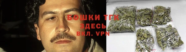 индика Медногорск