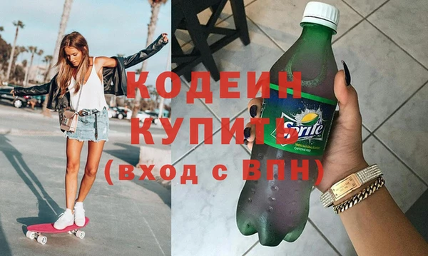 индика Медногорск