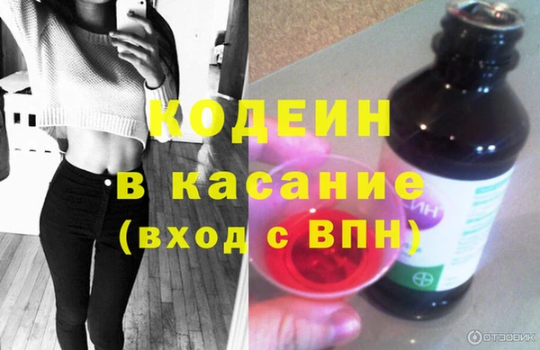 индика Медногорск