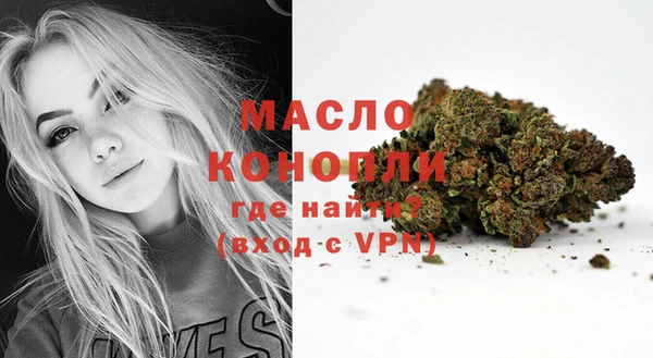 индика Медногорск