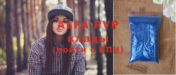 индика Медногорск