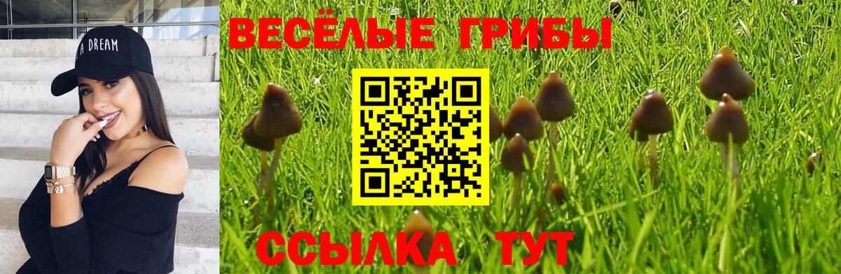 Псилоцибиновые грибы Psilocybe  Псилоцибиновые грибы GOLDEN TEACHER  Фурманов  Вход с VPN 