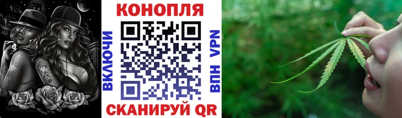 Канабис сатива  где найти наркотики  Фурманов 